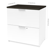 Load image into Gallery viewer, Premium Modern 2 Drawer Locking File Cabinet in White & Deep Gray