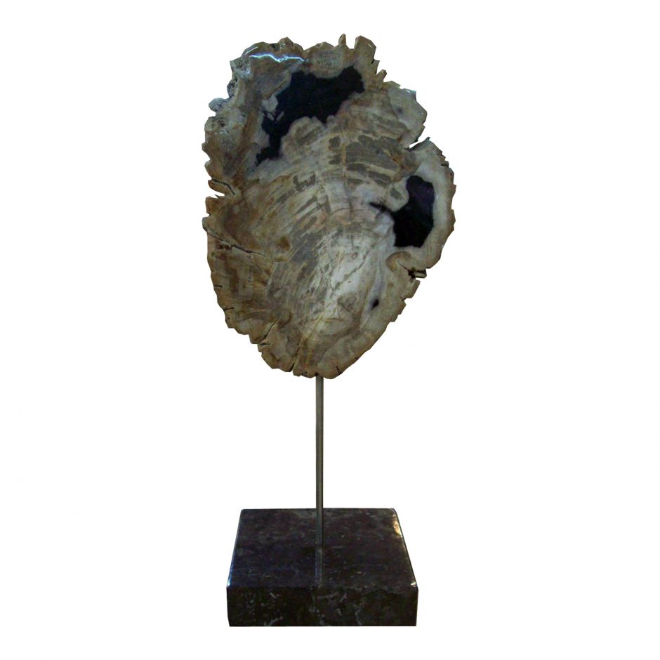 Exotic Office Scupture of Petrified Wood