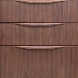 Walnut Office Storage Credenza in Mid-Century Style